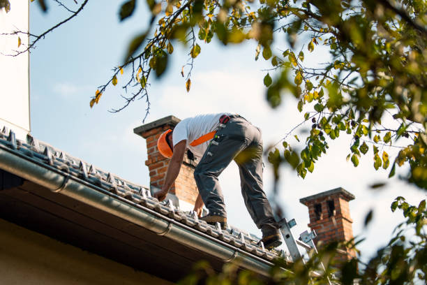 Best Local Roofing Companies  in West Glendive, MT